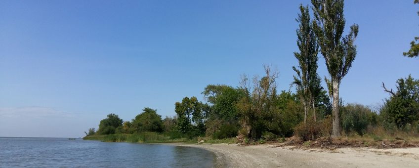 Habitat op de overgang van zoet en zout water, Tagangrog Baai (Rusland)