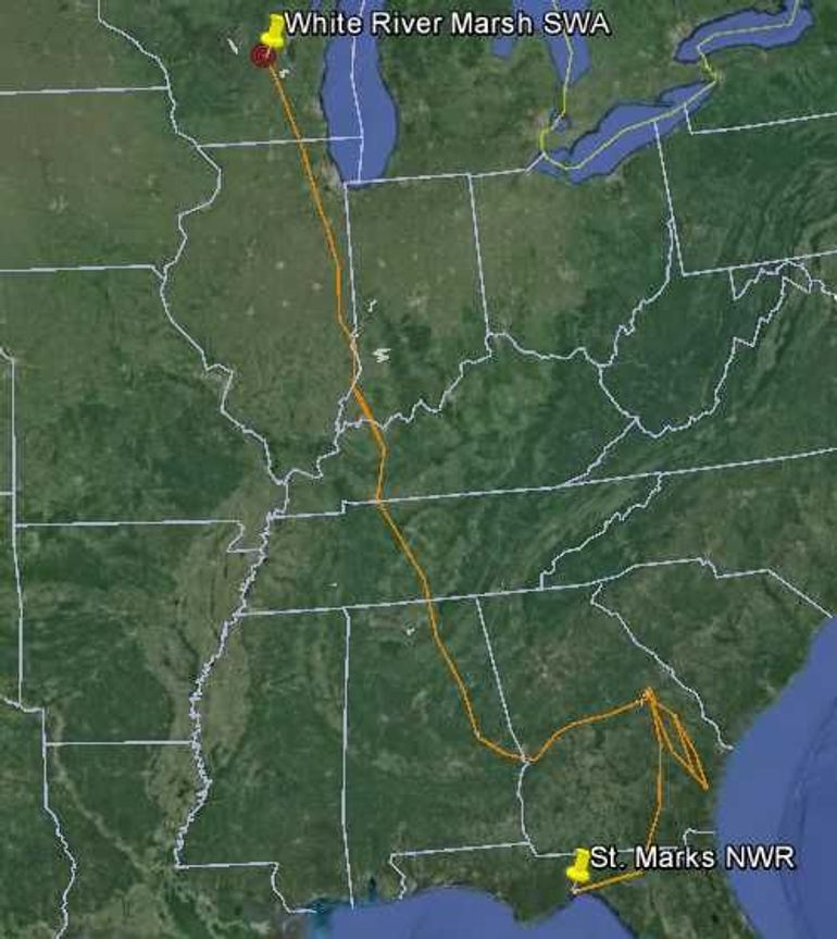 The southward route flown by the four that arrived at St. Marks