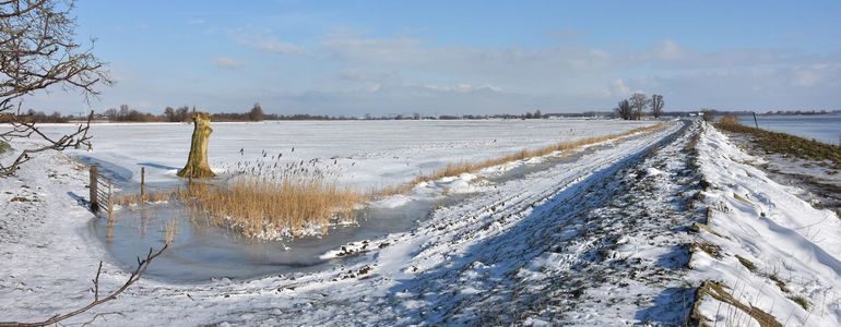 Polder de Thomaswaard in de winter. Deze polder heeft lagere natuur-en landschapswaarden dan de Zuilespolder. Vanwege de ligging in een voor publiek ontoegankelijk deel van de Sliedrechtse Biesbosch vormt deze polder met name voor vogels bovendien een uitstekend rustgebied