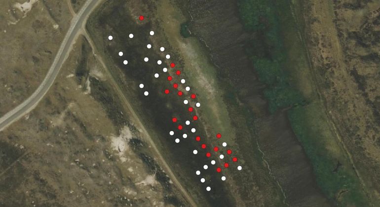 De resultaten in gebied A (Geul) in 2023 (twee jaar runderbegrazing, gevolgd door twee jaar niets doen)