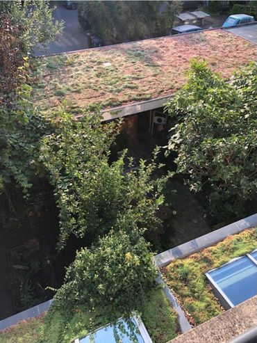 Groen dak boven carpoort