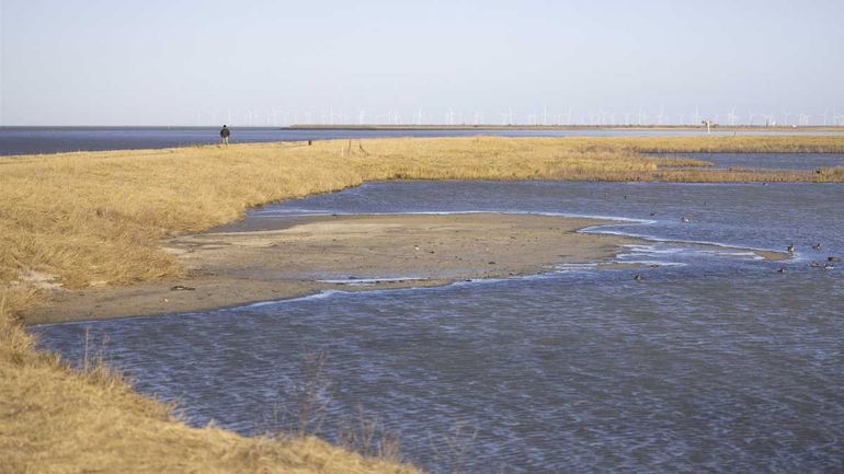 De waddenkust in natuurgebied Vatrop bij het Noord-Hollandse Wieringen
