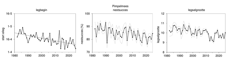 Figuur 1. Grafieken van legbegin, nestsucces en legselgrootte voor de pimpelmees van 1980 tot en met 2025