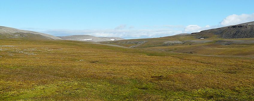 Toendravegetatie in Rosenbergdalen, Edgeøya, met veel mos in verschillende schakeringen groen. In de donkergroene vegetatie rechtsonder groeit veel poolwilg (Salix polaris, minuscule dwergstruiken met donkergroene blaadjes). De grasachtigen en andere kruiden zijn al overwegend in herfstkleuren van verschillende schakeringen bruin.