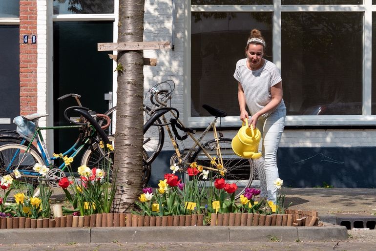 Boomspiegel in straat Utrecht