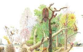 Jeroen Helmer, ARK Natuurontwikkeling Wandelend bos