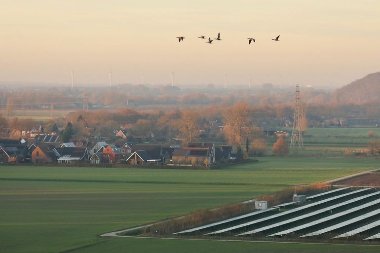 Grauwe ganzen vliegen over een winterlandschap met intensief grasland, een zonnepark en windturbines: een beeld dat anno 2026 normaal is geworden