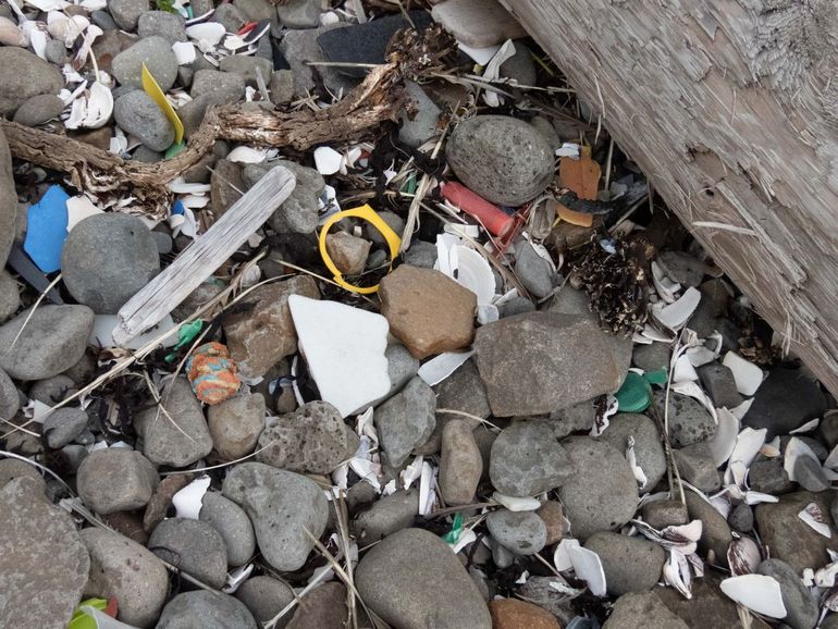 IJslands strand met verschillende types plastic zwerfvuil 