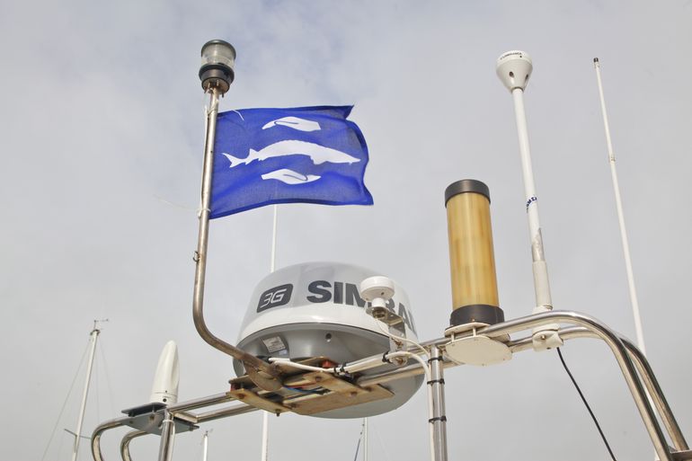 Steurenvlag als erkenning voor vangstmeldingen en terugzetten van steuren