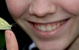 Kars Veling klein geaderd witje op vinger