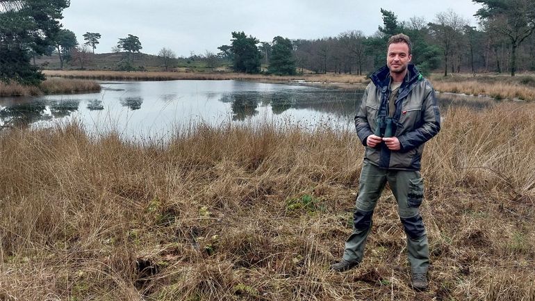 Dennis Jilisen: “Schapen zijn heel erg welkom hier. Maar we willen wel proberen te voorkomen dat ze reptielen vertrappen”