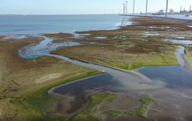 EcoShape Experiment kwelderaanleg bij Delfzijl (eenmalig gebruik WUR)