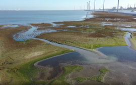 Experiment kwelderaanleg bij Delfzijl (eenmalig gebruik WUR)