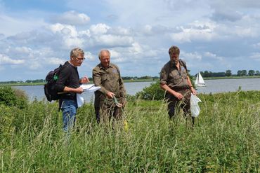 De tellers op Tiengemeten aan het werk, gewapend met netje en streeplijst. Dit is het leefgebied van de zeldzame zandhommel en moshommel