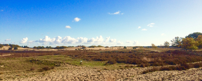 Loonse en Drunense duinen