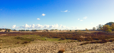 Loonse en Drunense duinen