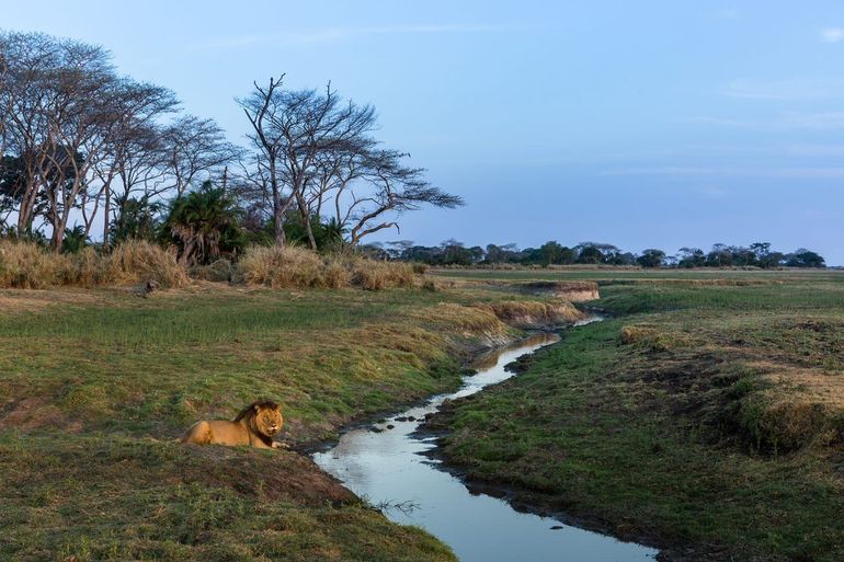 Busanga Plain, Kafue Nationaal Park, Zambia