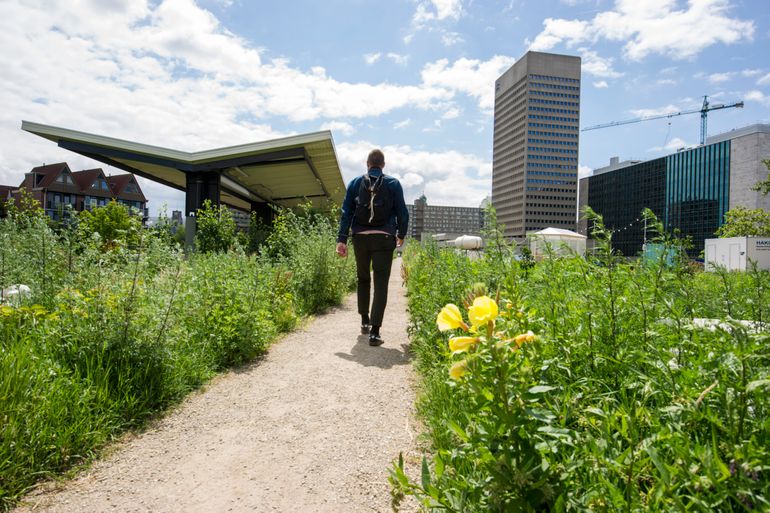 Dakpark Station Hofplein Rotterdam