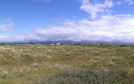 Newborough Warren in Wales, Engeland