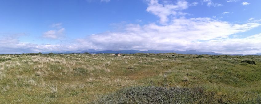 Newborough Warren in Wales, Engeland