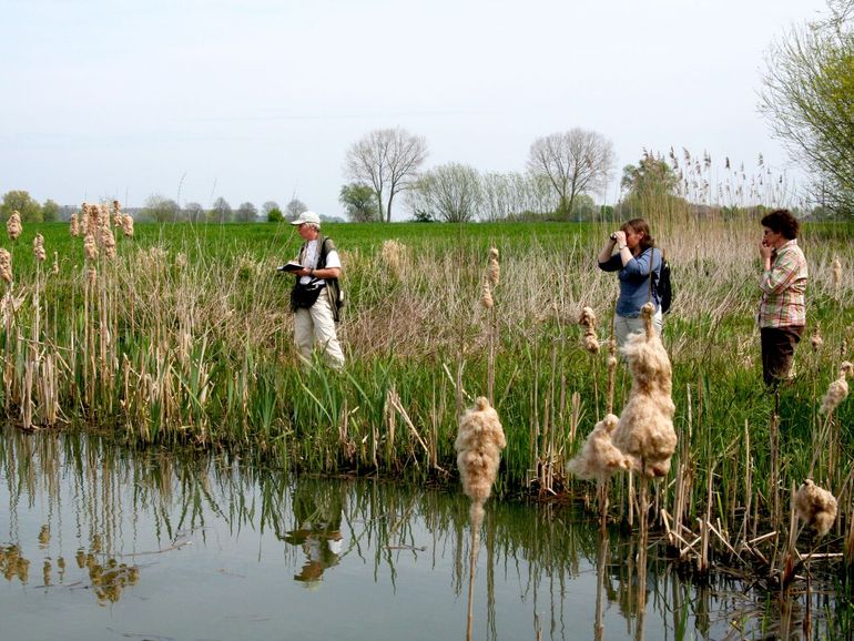 Waarnemers in het veld