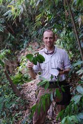 Joeri Strijk met een verse tak van Lithocarpus corneus