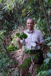 Joeri Strijk met een verse tak van Lithocarpus corneus