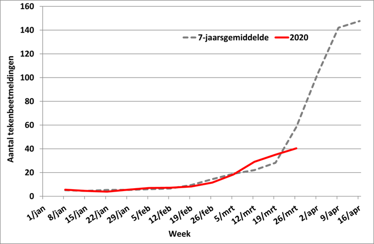 Verloop van het aantal tekenbeetmeldingen op Tekenradar.nl. De grijze stippellijn is het gemiddelde aantal tekenbeetmeldingen per week. De rode lijn is het aantal dat in 2020 is doorgegeven. Het werkelijke aantal tekenbeten in Nederland ligt hoger.