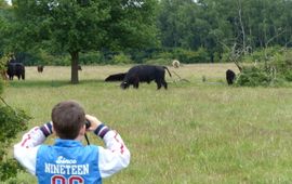 Kijken naar grote grazers EENMALIG GEBRUIK