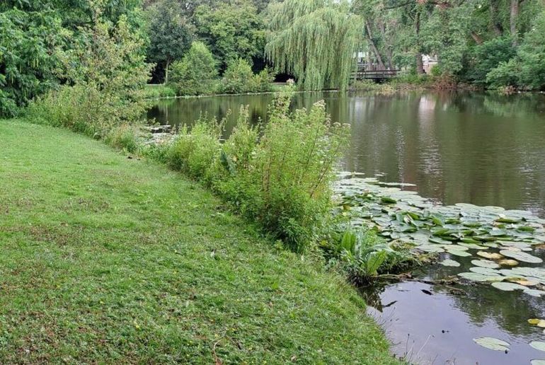 Project Natuurvriendelijke oevers voor biodiversiteit in Amsterdam
