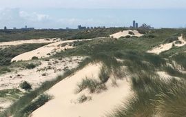 Harrie van der Hagen Witte duinen in Meijendel met de hoogbouw van Scheveningen op de achtergrond