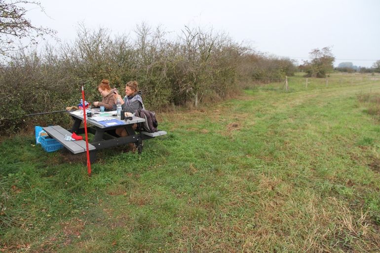 Gevangen vogels worden geringd, gewogen en gemeten bij de picknicktafel op de hoek van het overhoekje. Op de achtergrond de mei- en sleedoornstruiken die op het overhoekje zijn geplant, en waartussen de netten staan om de vogels te verschalken. Muntendam, 21 oktober 2018.