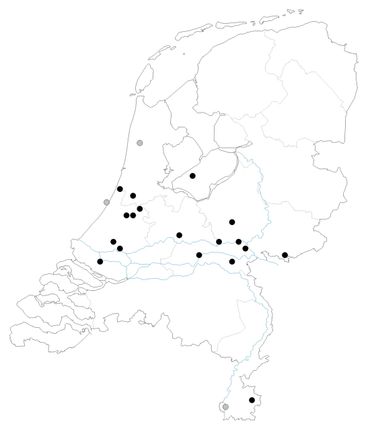 Huidige buitenpopulaties (zwarte stippen) en binnenmeldingen (waarschijnlijk) zonder populatie (grijze stippen)