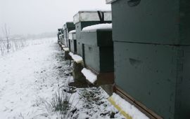 Bijenkasten in de sneeuw