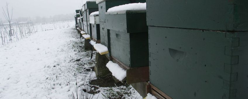 Bijenkasten in de sneeuw