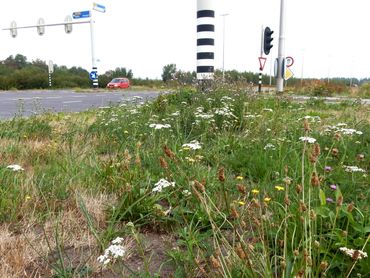 Er is ook een vervolgcursus Kleurkeur voor opdrachtgevers en ecologen van uitvoerders