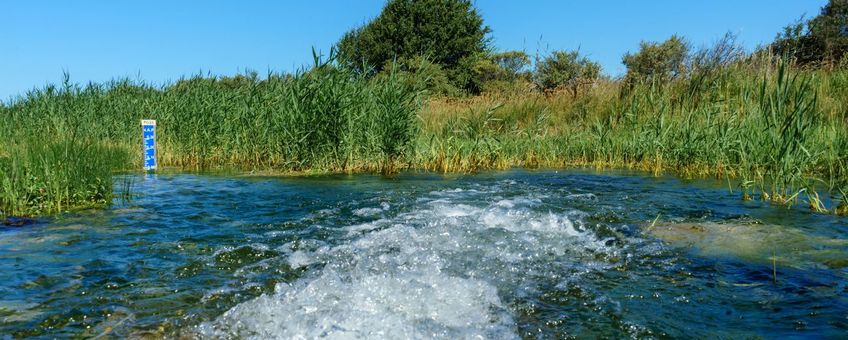 Voorgezuiverd rivierwater komt het duingebied in. Dit water zal langzaam zijn weg vinden door het gebied en vervolgens gezuiverd worden.