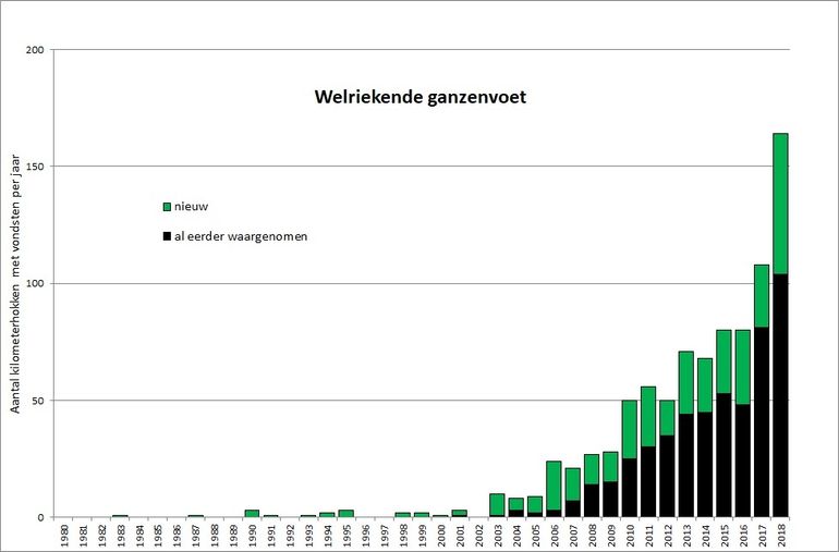 Aantal kilometerhokken met waarnemingen van Welriekende ganzenvoet over de periode 1956-2018