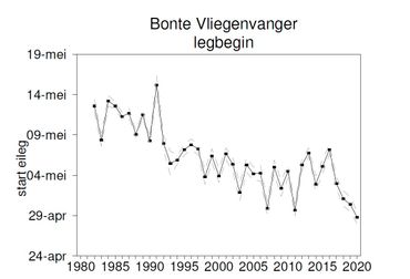 Legbegin bonte vliegenvanger