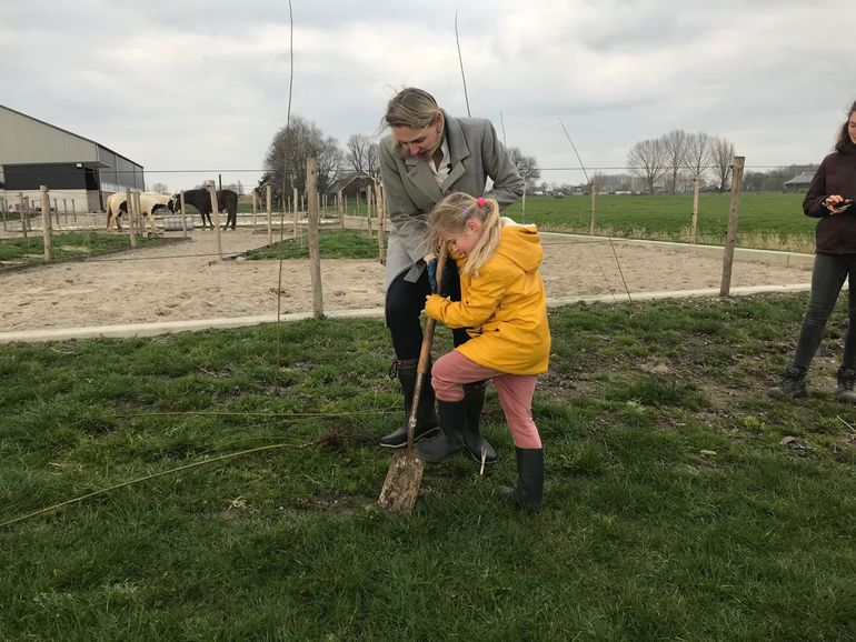 De 600.000e boom wordt geplant