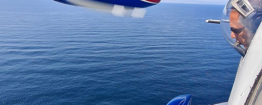 Waarnemer tijdens een vliegtuigtelling boven de Noordzee (eigen en eenmalig gebruik WMR)