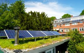 Natuurinclusief groen dak met zonnepanelen