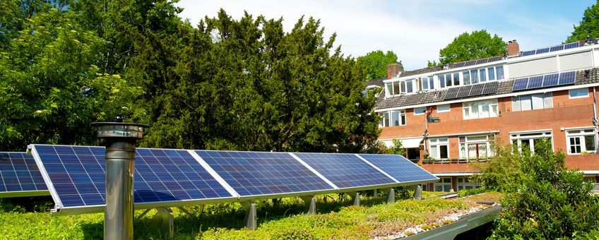 Natuurinclusief groen dak met zonnepanelen