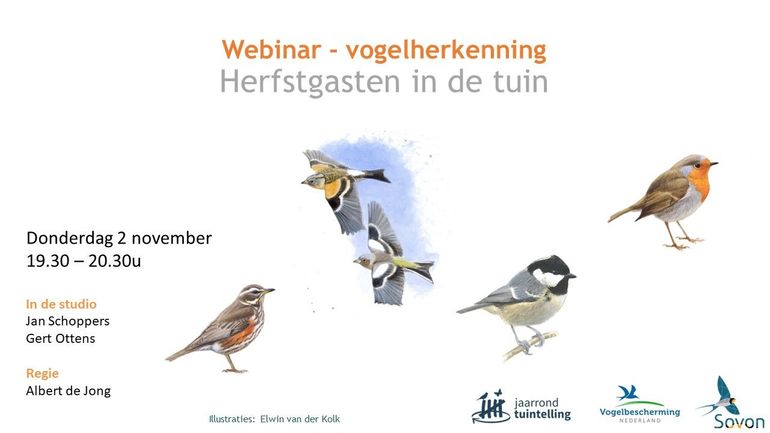 Webinar herfstgasten in de tuin