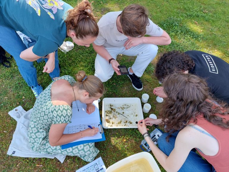 Studenten tijdens de test aan de slag met het determineren van soorten waterdiertjes