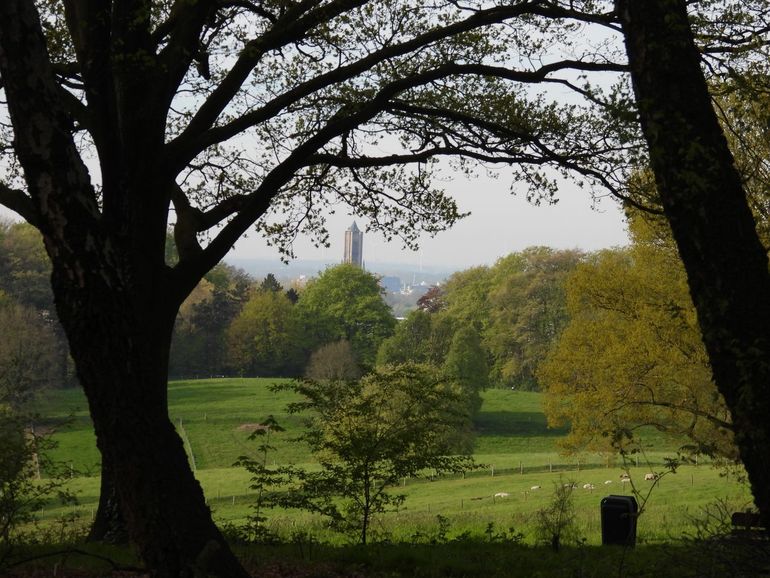 Uitzicht over park Klarenbeek met op de achtergrond de Eusebiuskerk