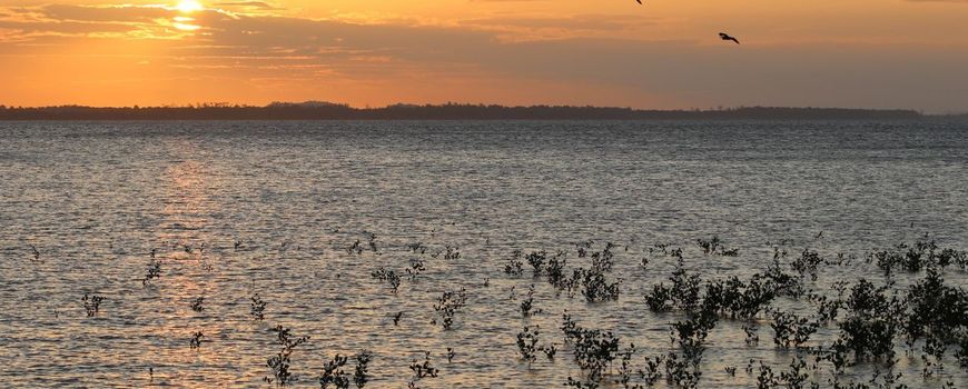 Nature Today |  Historical climate extremes along the northeast coast of South America