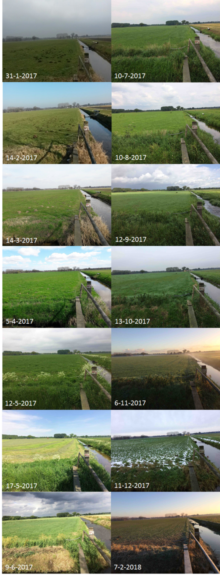 Selectie van GrowApp-foto’s uit de time-lapse video van een weiland aan de Dijkgraaf in Wageningen