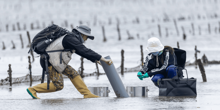 He-Bo Peng and his colleague are sampling on the intertidal mudflats in Fangchenggang, China