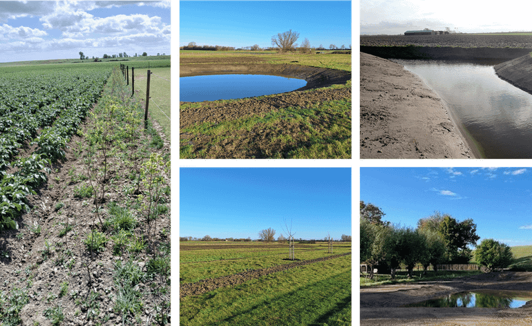 Werken aan honderden landschapselementen in Zeeland via samenwerking met agrari&euml;rs en lokale uitvoerders